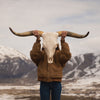 Authentic Highland Cattle Skull