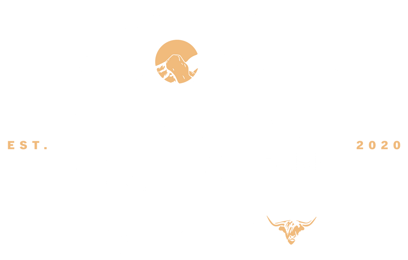 Golden Hour Farm